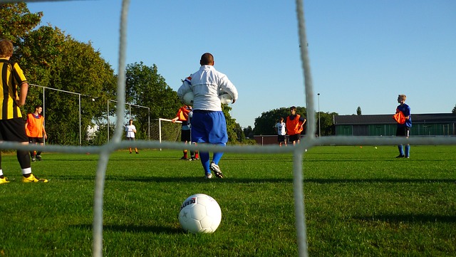 不仅提供了 不仅提供了