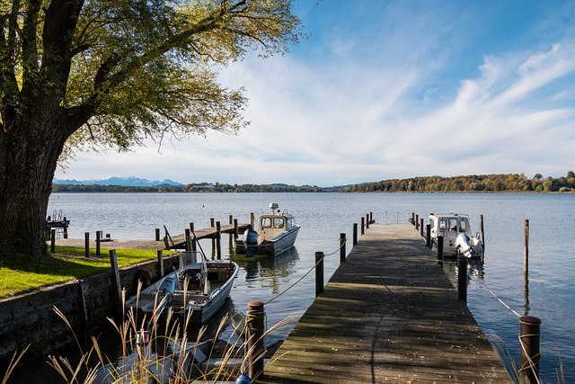 观赏性和安 观赏性和安