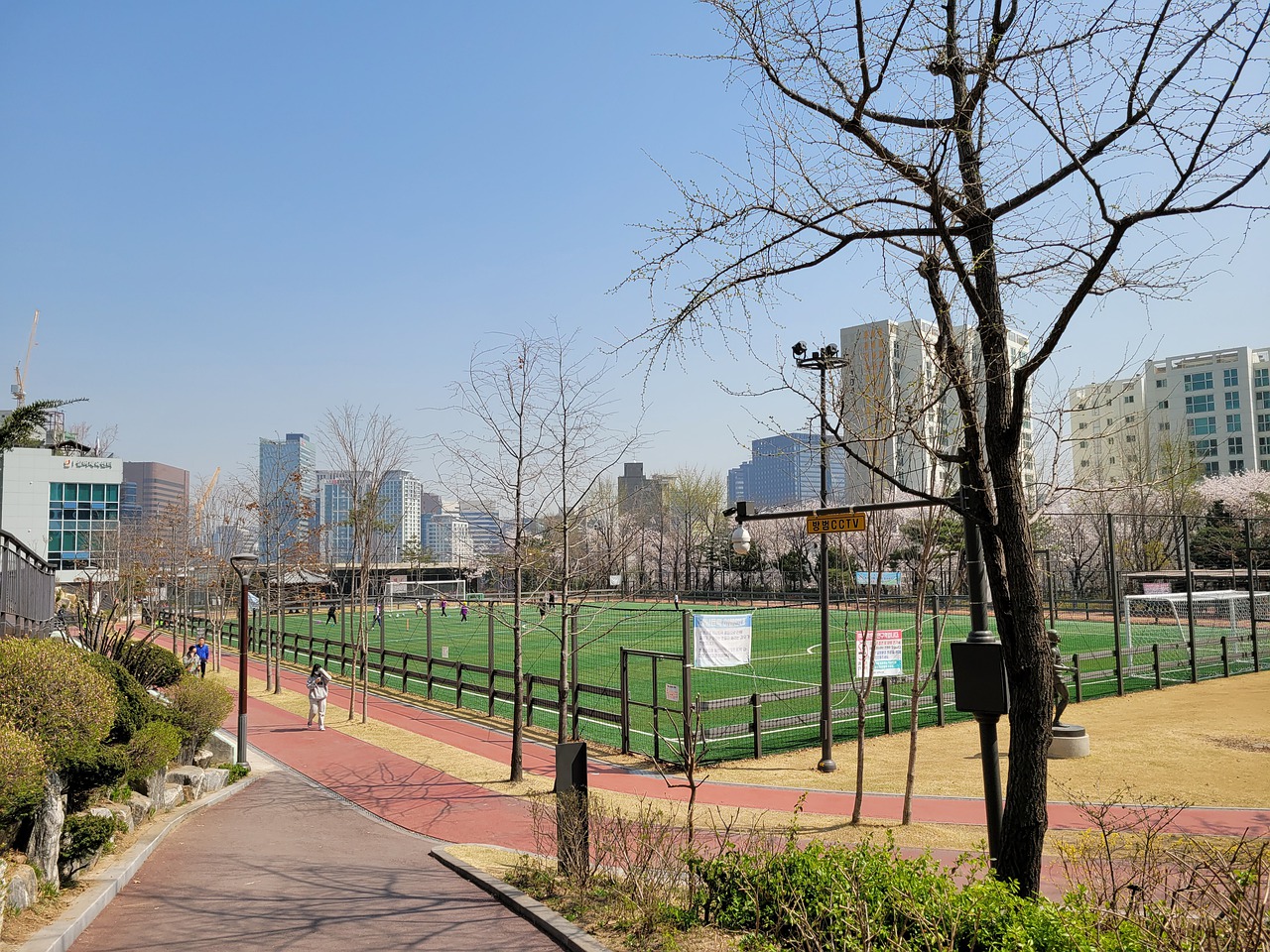 泽马的组合 泽马的组合