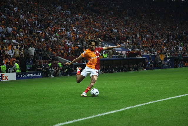 王朝中不可 王朝中不可