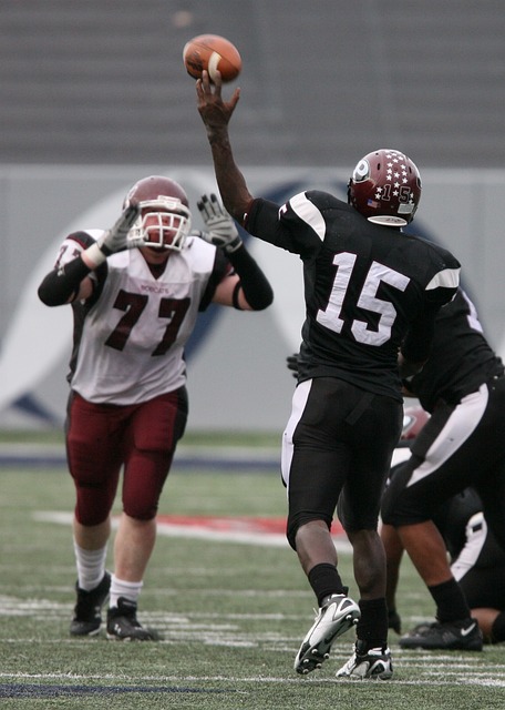 中国羽毛球 中国羽毛球