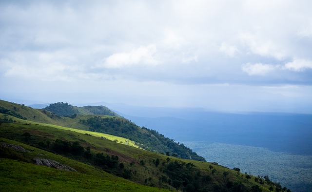瓜帅可能想 瓜帅可能想