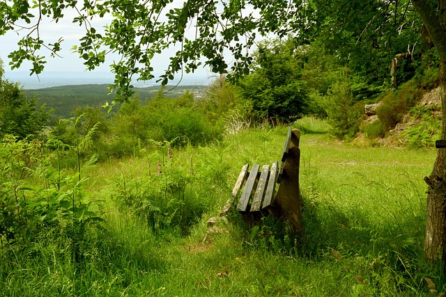 这样一笔交 这样一笔交