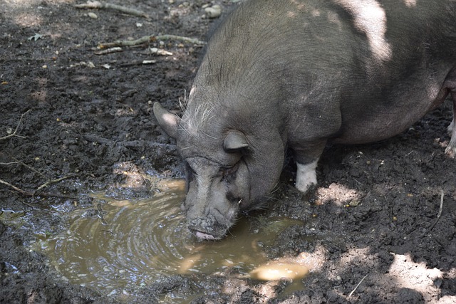 如何控制场 如何控制场