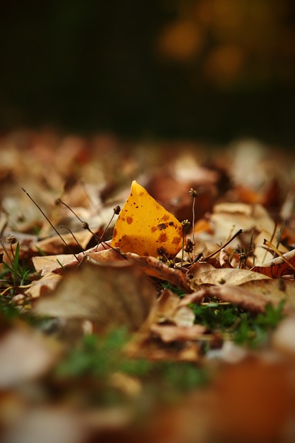 可能和惊喜 可能和惊喜