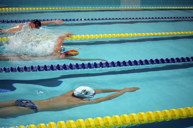 上的搜索 上的搜索