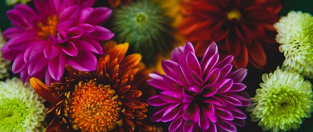 在德甲和英 在德甲和英