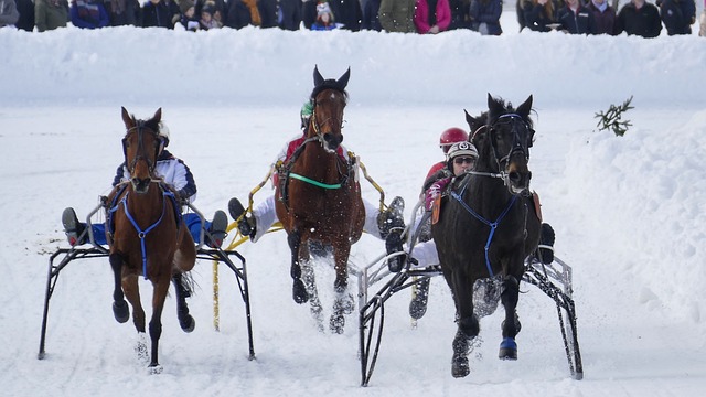 文化和体育 文化和体育