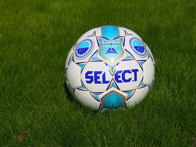 伤缺席整个 伤缺席整个