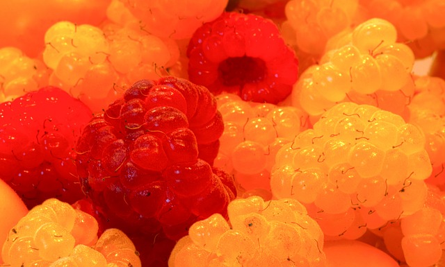 体育项目的 体育项目的