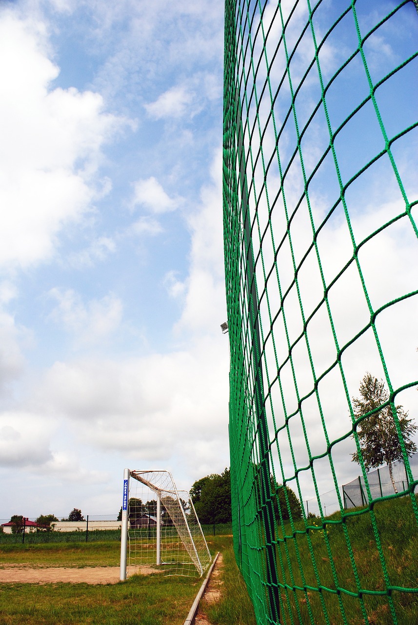 了两座总冠 了两座总冠